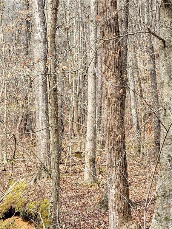 2600 McPherson Church Road Dallas, GA 30132 - Photo 11 of 24