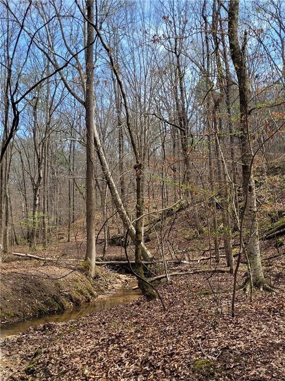 2600 McPherson Church Road Dallas, GA 30132 - Photo 12 of 24