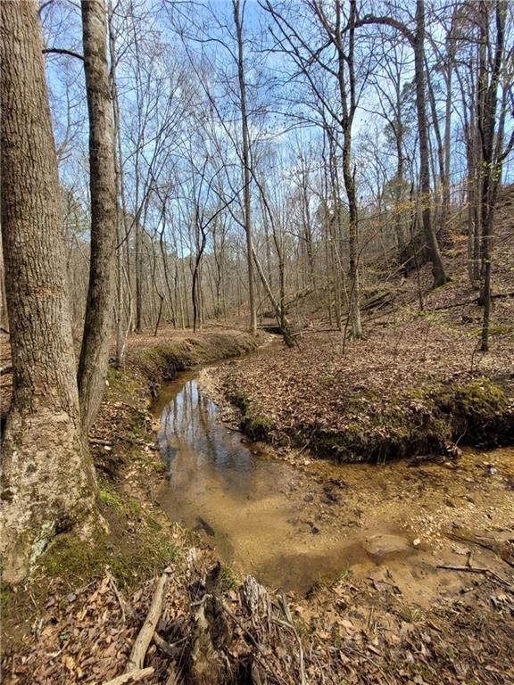 2600 McPherson Church Road Dallas, GA 30132 - Photo 13 of 24