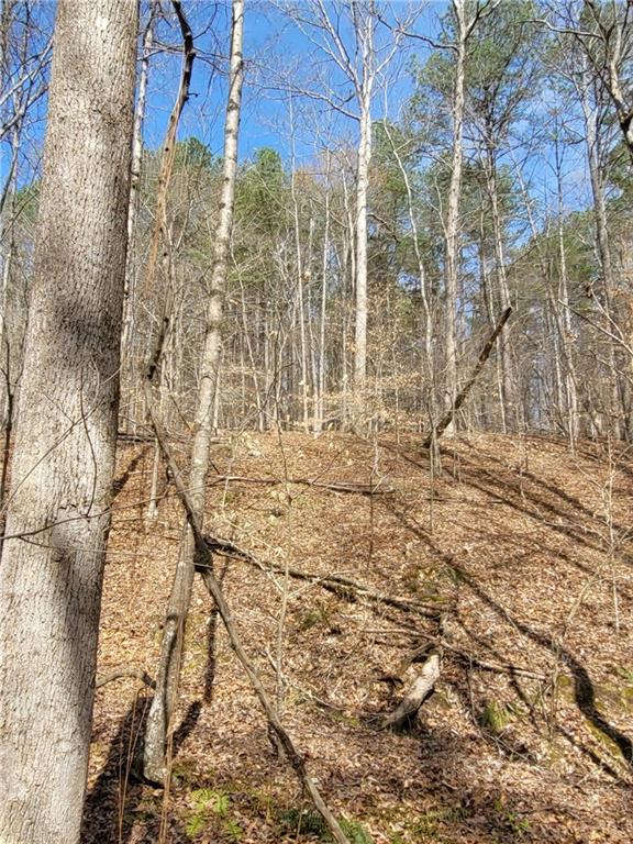 2600 McPherson Church Road Dallas, GA 30132 - Photo 15 of 24