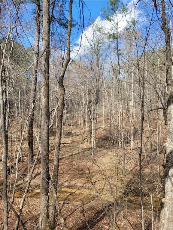 2600 McPherson Church Road Dallas, GA 30132 - Photo 16 of 24