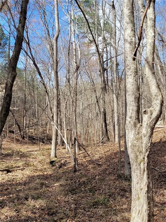 2600 McPherson Church Road Dallas, GA 30132 - Photo 17 of 24