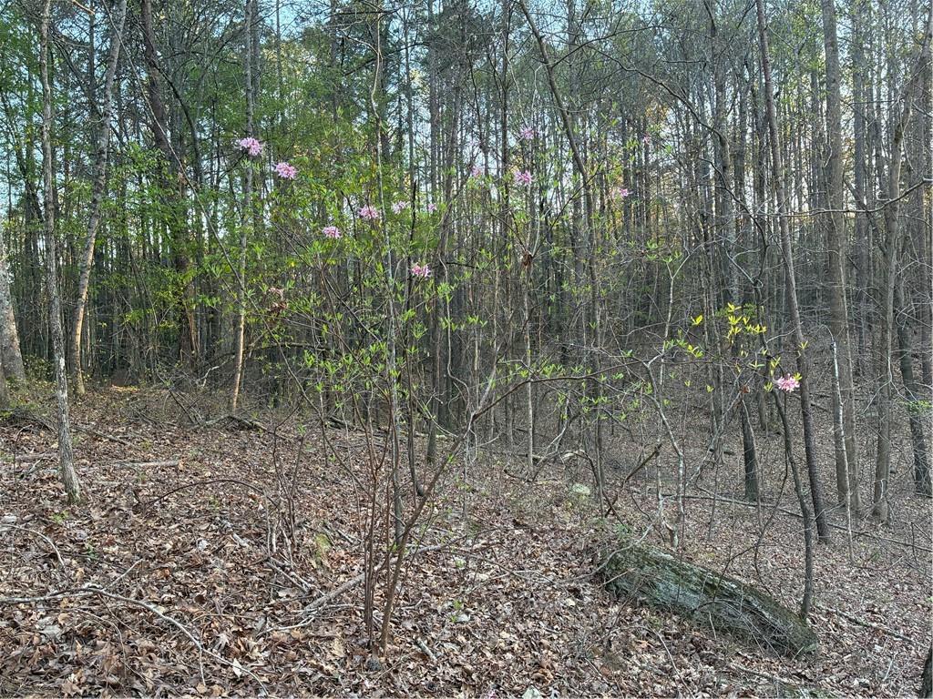 2600 McPherson Church Road Dallas, GA 30132 - Photo 20 of 24