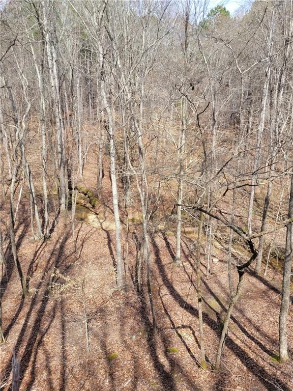 2600 McPherson Church Road Dallas, GA 30132 - Photo 2 of 24