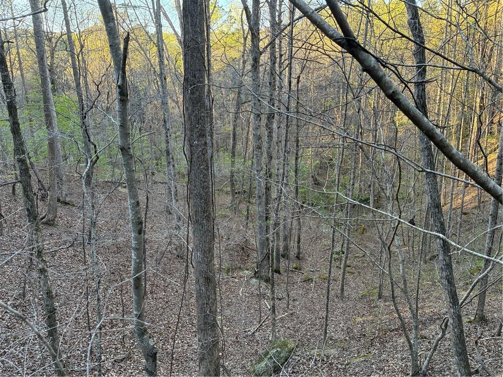 2600 McPherson Church Road Dallas, GA 30132 - Photo 21 of 24