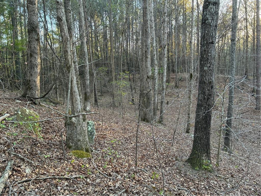 2600 McPherson Church Road Dallas, GA 30132 - Photo 23 of 24