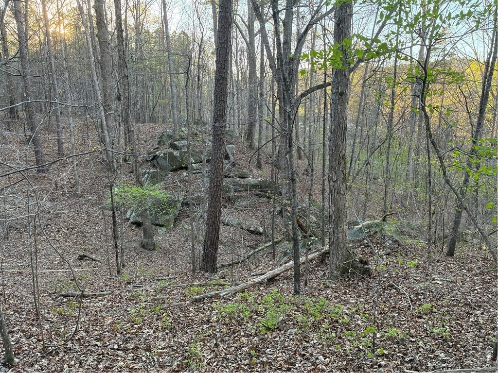 2600 McPherson Church Road Dallas, GA 30132 - Photo 24 of 24