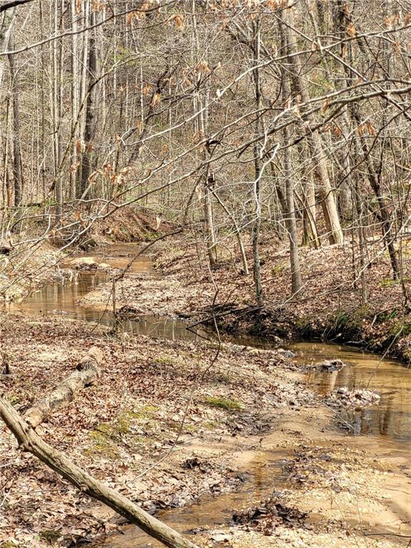 2600 McPherson Church Road Dallas, GA 30132 - Photo 3 of 24