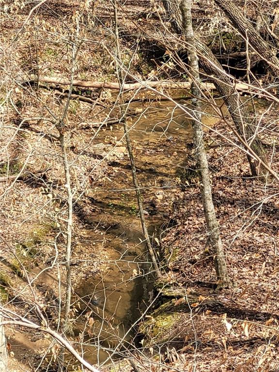 2600 McPherson Church Road Dallas, GA 30132 - Photo 4 of 24