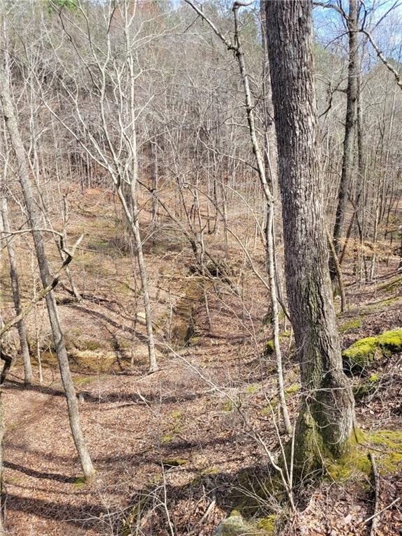 2600 McPherson Church Road Dallas, GA 30132 - Photo 5 of 24