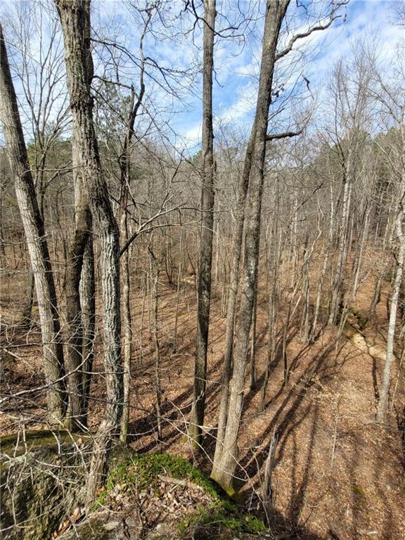 2600 McPherson Church Road Dallas, GA 30132 - Photo 6 of 24