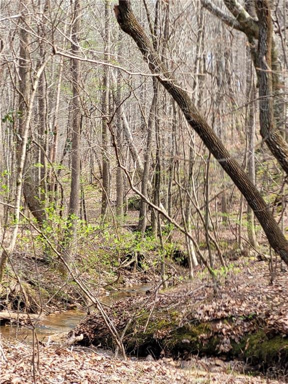 2600 McPherson Church Road Dallas, GA 30132 - Photo 7 of 24