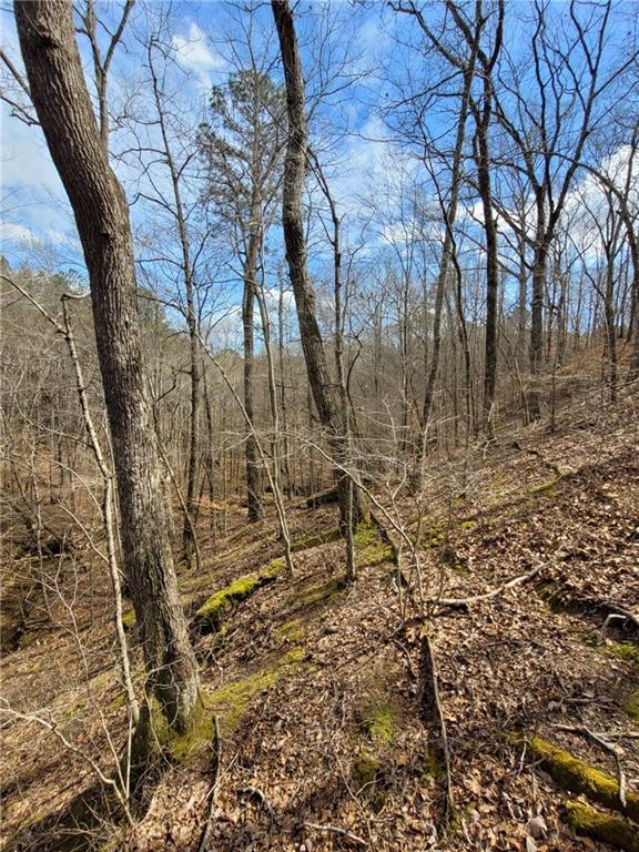 2600 McPherson Church Road Dallas, GA 30132 - Photo 8 of 24