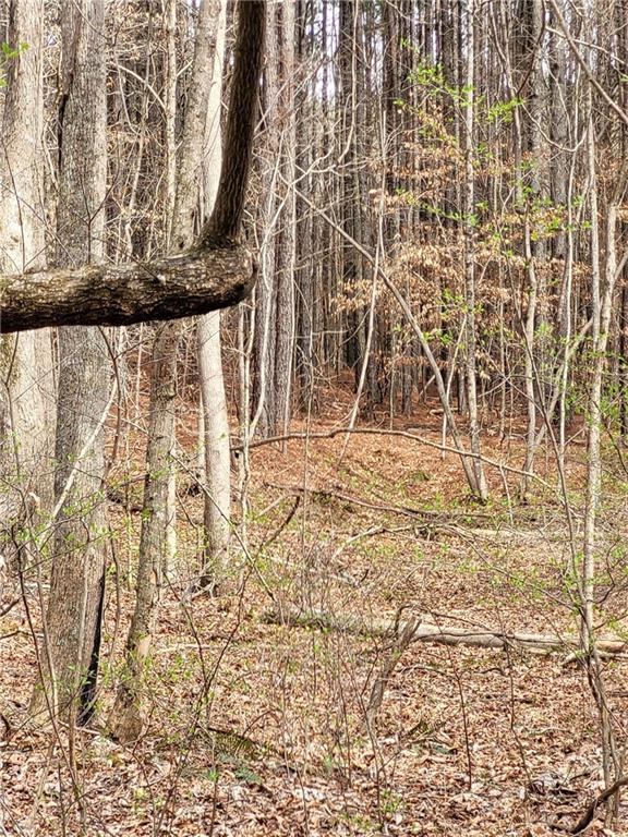 2600 McPherson Church Road Dallas, GA 30132 - Photo 9 of 24