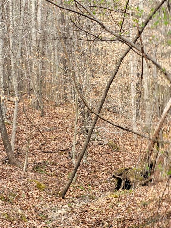 2600 McPherson Church Road Dallas, GA 30132 - Photo 10 of 24