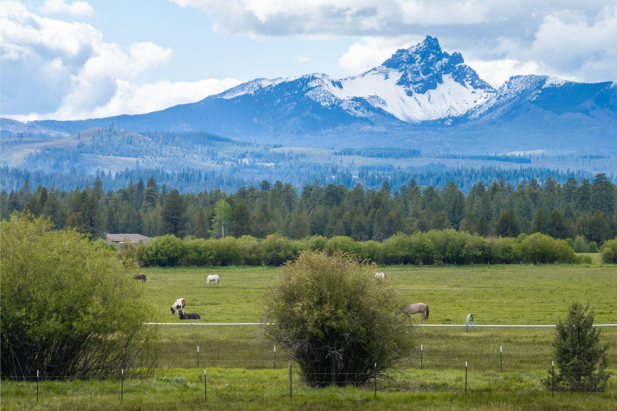 13729 Mentha, Unit EM 32 Black Butte Ranch, OR 97759 - Photo 62 of 76