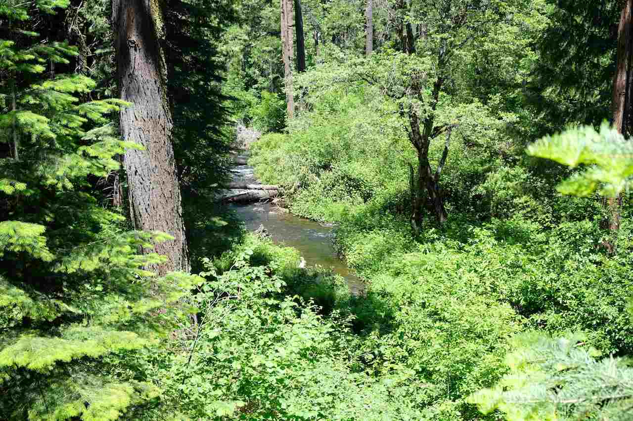 1431 Audubon Road Mount Shasta, CA 96067 - Photo 23 of 24 Gallery Image 23
