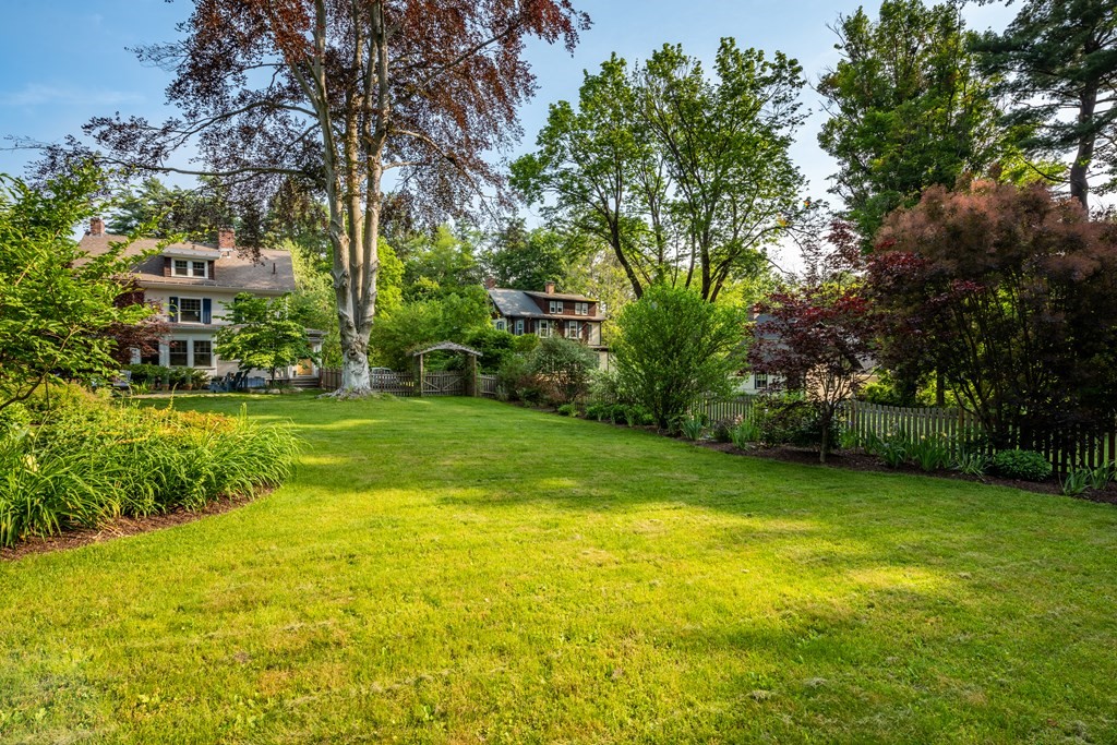 54 Snell Street Amherst, MA 01002 - Photo 7 of 42 a view of a trees with a big yard