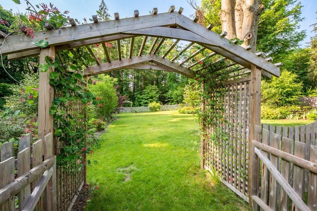54 Snell Street Amherst, MA 01002 - Photo 10 of 42 a view of a yard with an outdoor space