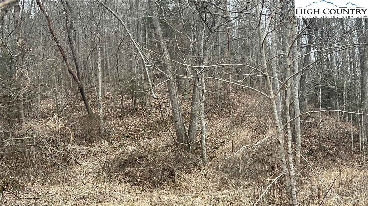 Martinez Road Crumpler, NC 28617 - Photo 11 of 12