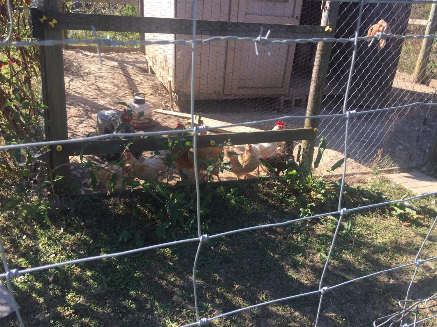 131 Jolly Ridge Road Richmond, KY 40475 - Photo 44 of 54 Photo 44