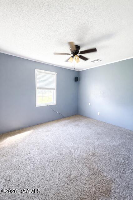 359 Cheramie Road Port Barre, LA 70577 - Photo 5 of 13