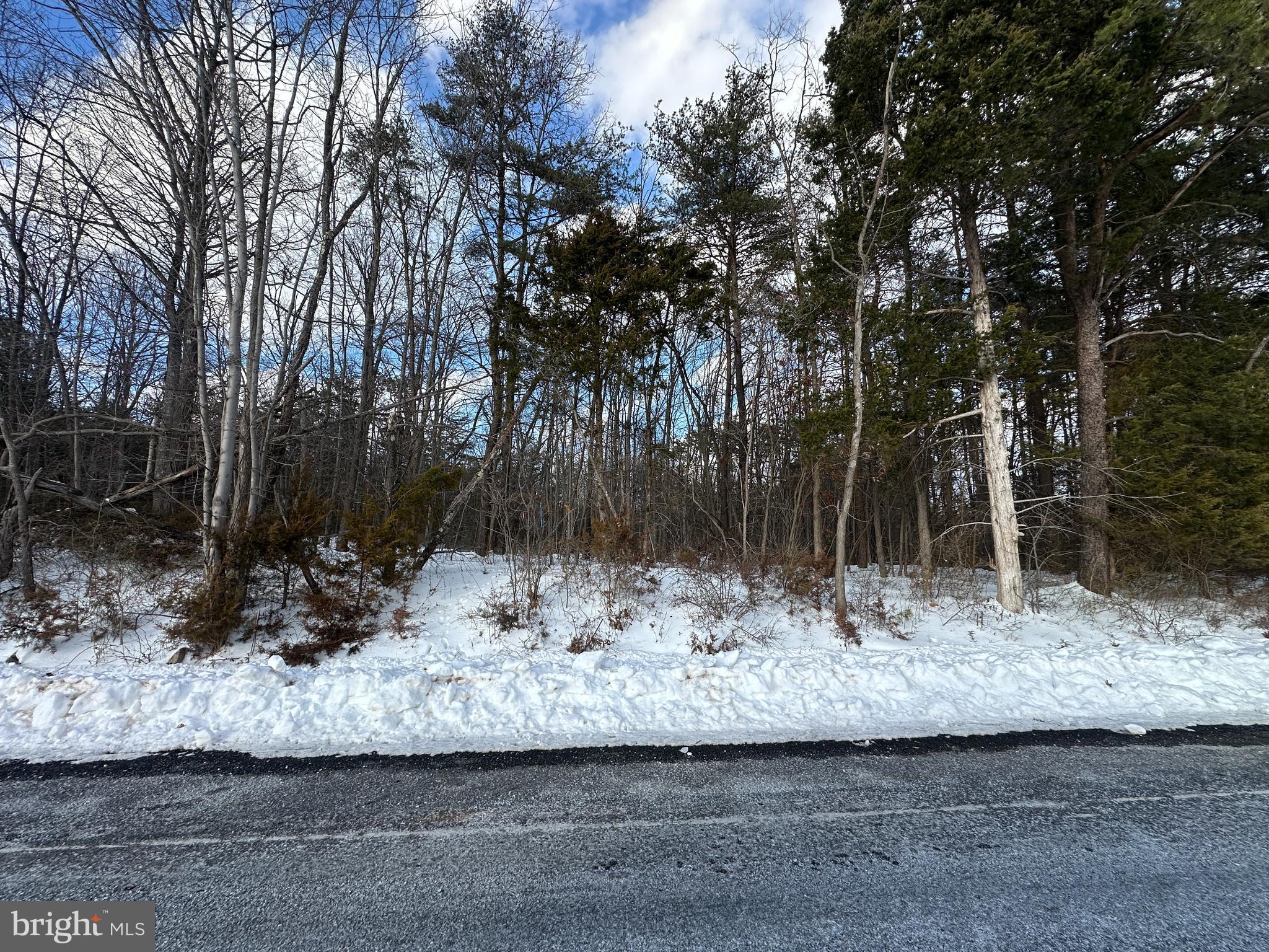 0 Hollow Road Gore, VA 22637 - Photo 2 of 3 a view of a yard covered with snow