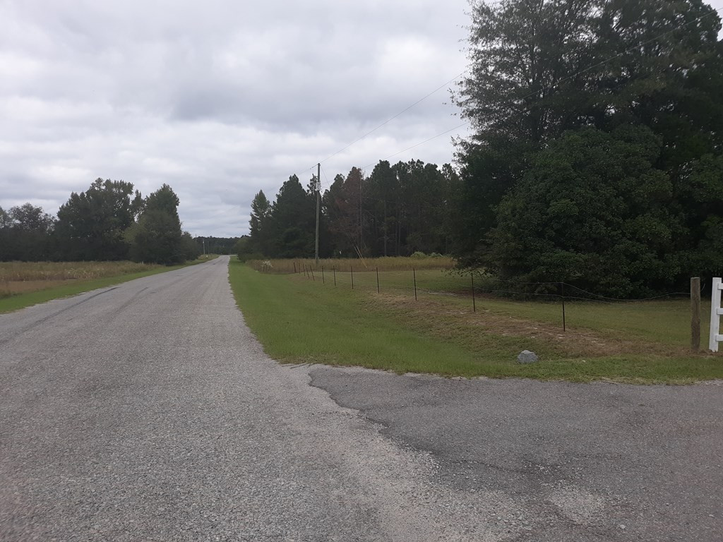 790 Chavis Road Blackville, SC 29817 - Photo 11 of 40 Gallery Image 11