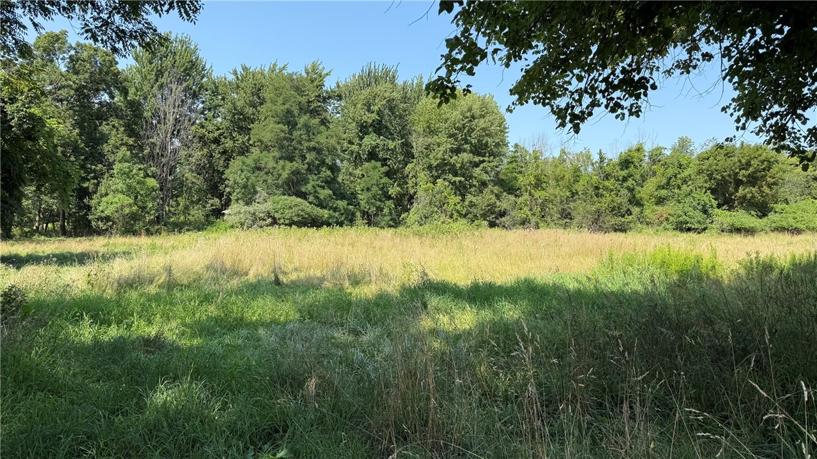 14909 Ridge Road West Albion, NY 14411 - Photo 4 of 16 Backyard
