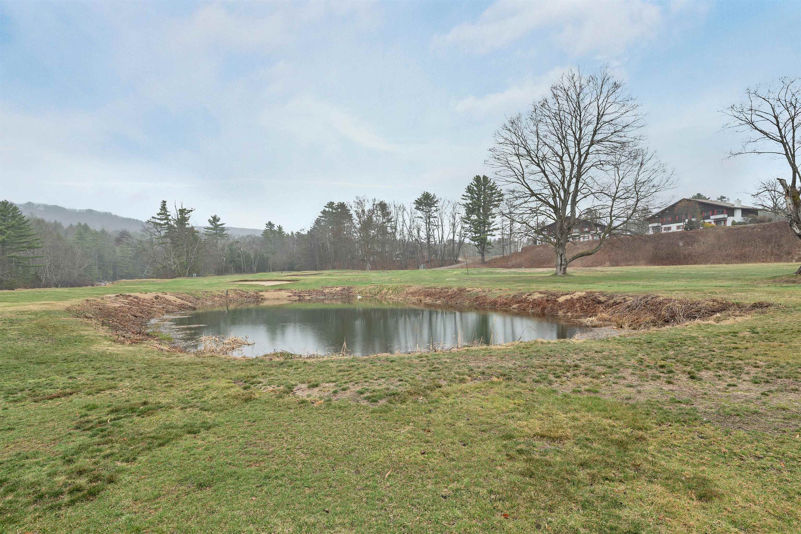 48 Linderhof Golf Course Road, Unit 1 Bartlett, NH 03838 - Photo 36 of 40