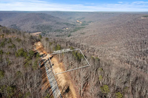 a view of a dry yard with wooden floor and fence