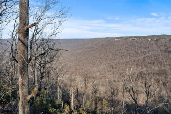 a view of mountain view with lots of trees
