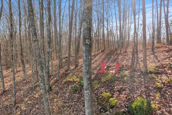 a view of backyard with wooden fence