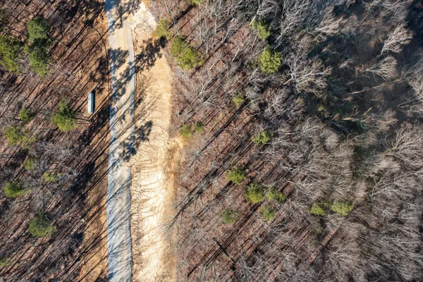 a view of a dry yard with trees