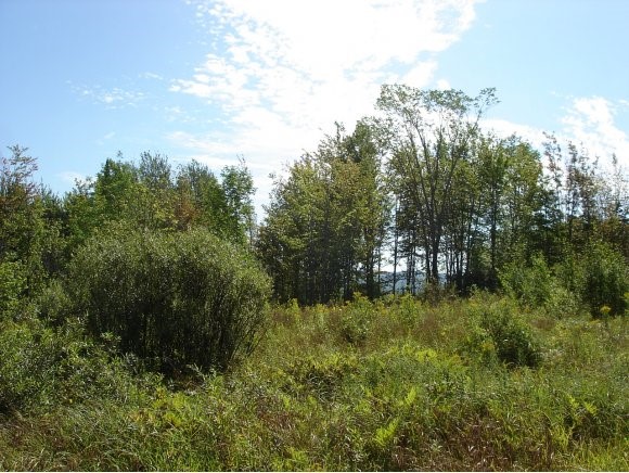 1 Buck Hill Road Westfield, VT 05874 - Photo 1 of 1