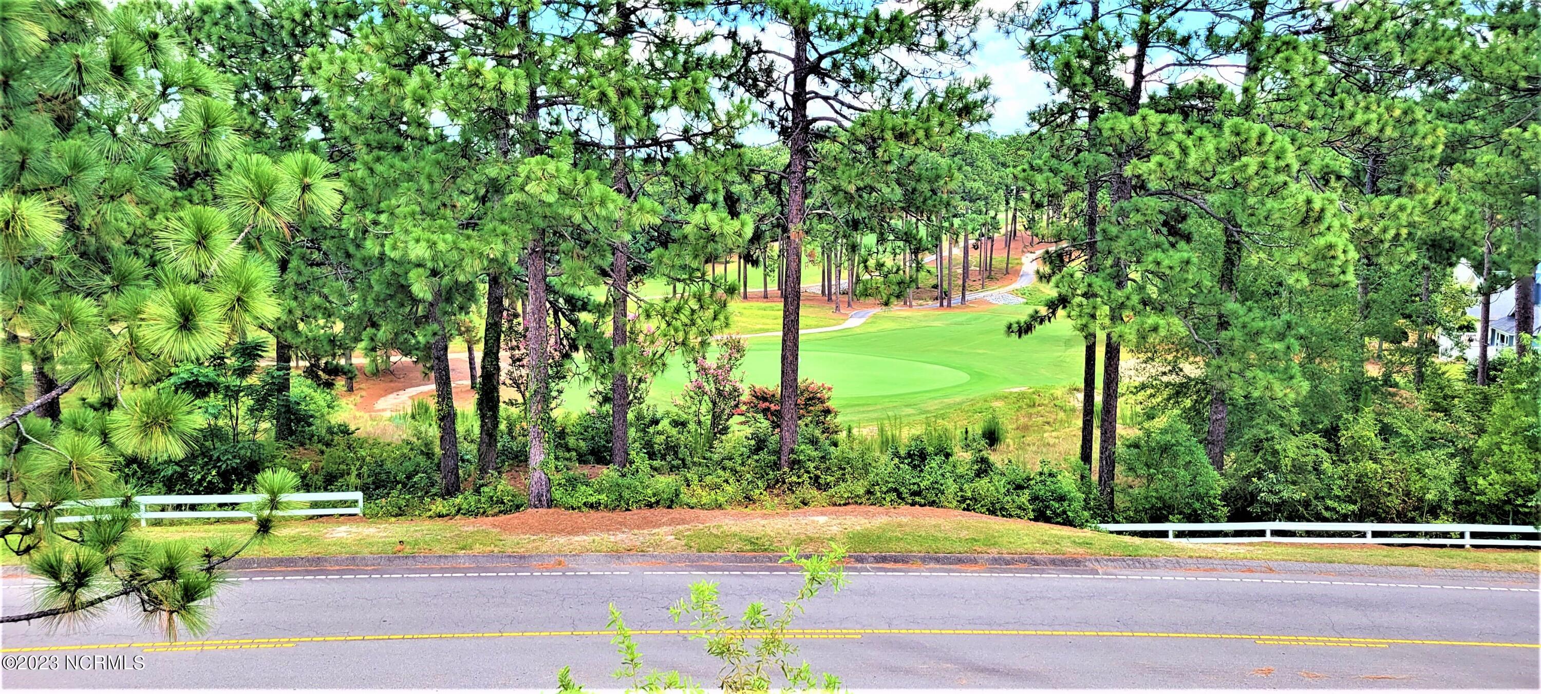 96 Knoll Road Southern Pines, NC 28387 - Photo 30 of 33 20230808_140000