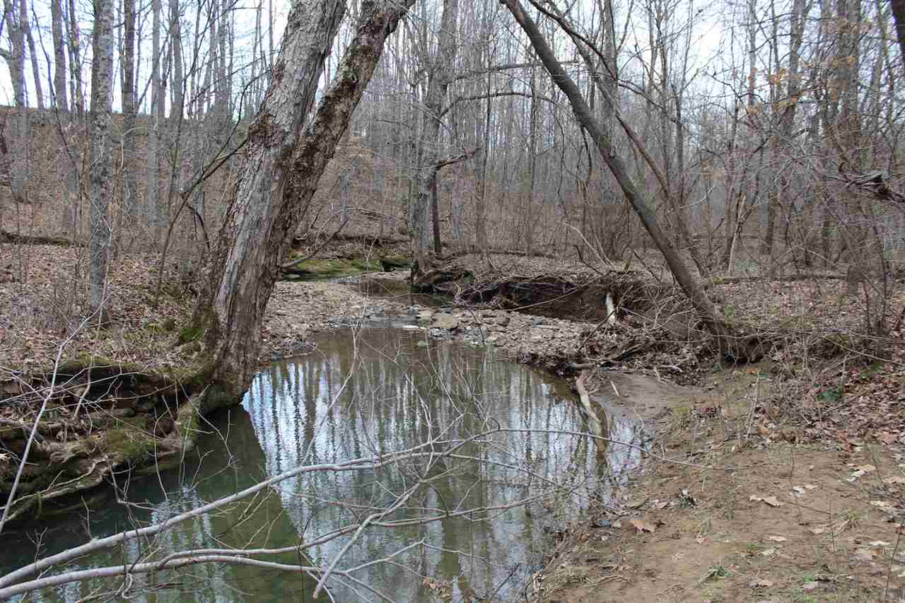 4388 Yeaman Road Caneyville, KY 42721 - Photo 25 of 32 Gallery Image 25