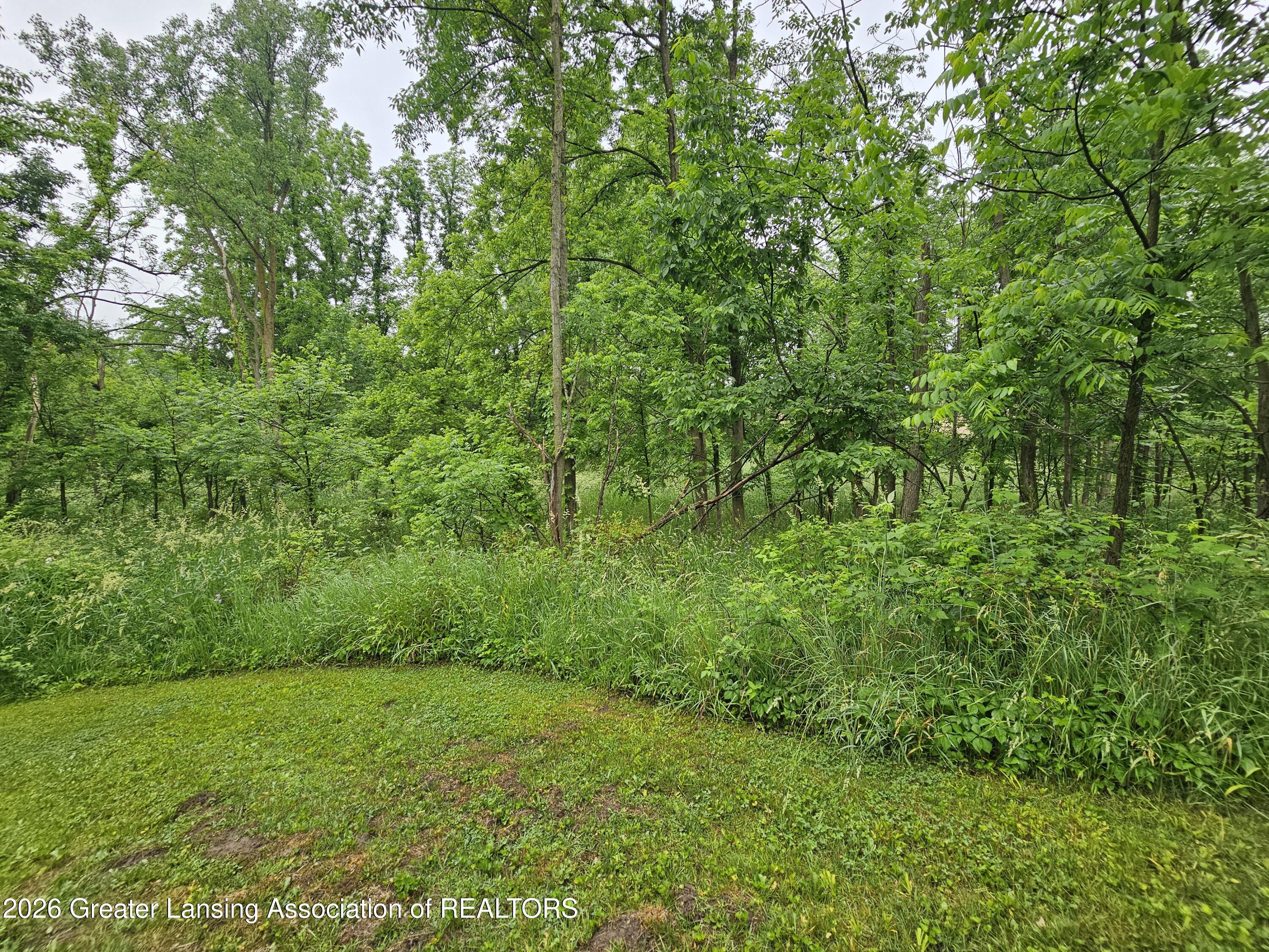 14540 South Wacousta Road Grand Ledge, MI 48837 - Photo 37 of 48 Wooded area