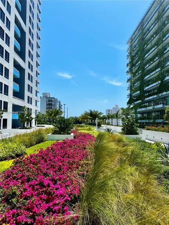 a view of a garden with plants and large trees