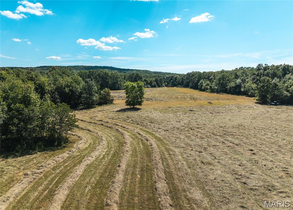 4 Buck Mountain Road Ironton, MO 63650 - Photo 19 of 27