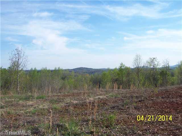 1088 Fletch Hall Road Sandy Ridge, NC 27046 - Photo 11 of 16 View.