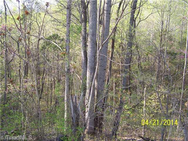 1088 Fletch Hall Road Sandy Ridge, NC 27046 - Photo 13 of 16 Land.