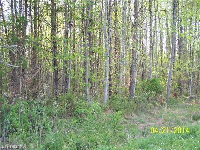 1088 Fletch Hall Road Sandy Ridge, NC 27046 - Photo 15 of 16 Land.