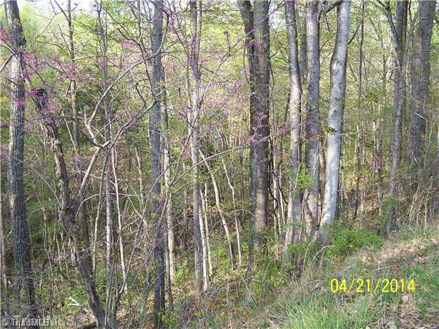 1088 Fletch Hall Road Sandy Ridge, NC 27046 - Photo 16 of 16 Land.