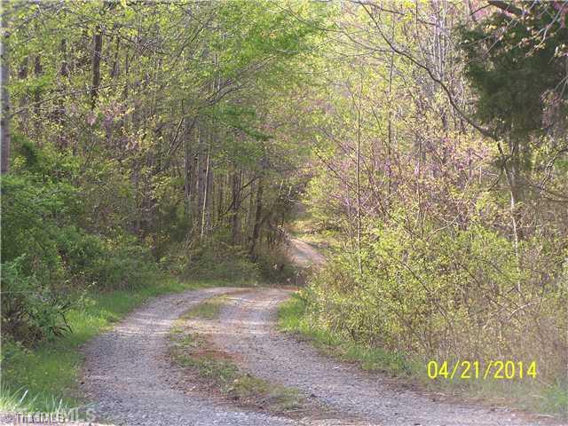 1088 Fletch Hall Road Sandy Ridge, NC 27046 - Photo 4 of 16 Land. Easement Road Off Fletch Hall Rd.