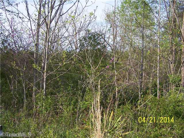 1088 Fletch Hall Road Sandy Ridge, NC 27046 - Photo 7 of 16 Land.