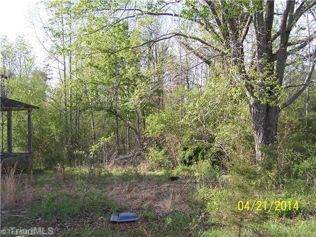 1088 Fletch Hall Road Sandy Ridge, NC 27046 - Photo 8 of 16 Land.