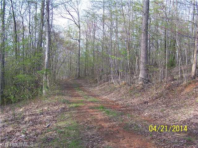 1088 Fletch Hall Road Sandy Ridge, NC 27046 - Photo 9 of 16 Land.