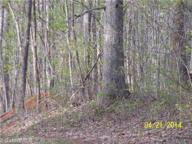 1088 Fletch Hall Road Sandy Ridge, NC 27046 - Photo 10 of 16 Land.