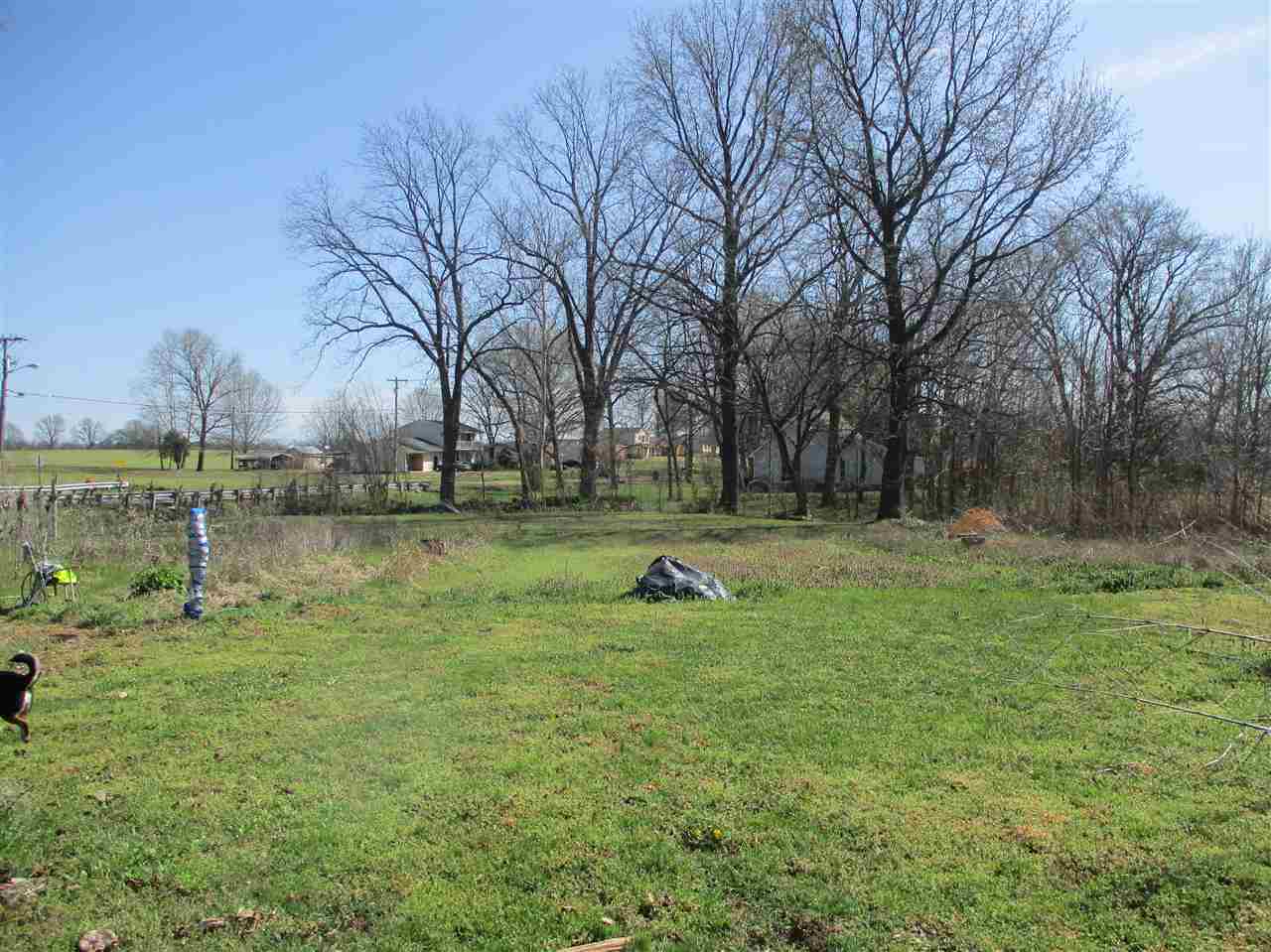 317 Holly Grove Road Covington, TN 38019 - Photo 4 of 7 Gallery Image 4